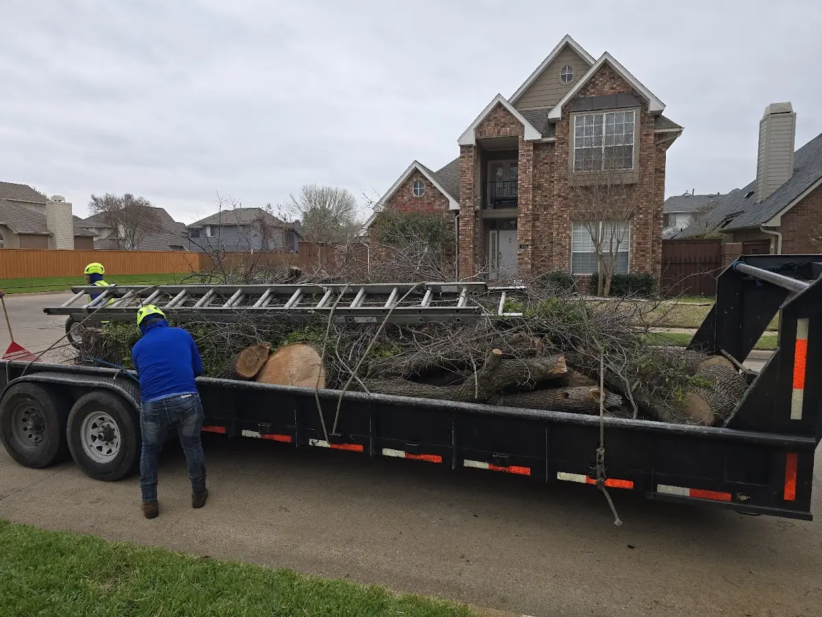 Expert Tree Fertilization with proper safety equipment in East Corinth